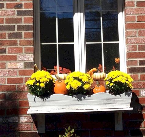 How to Decorate Fall Window Boxes Like a Pro 